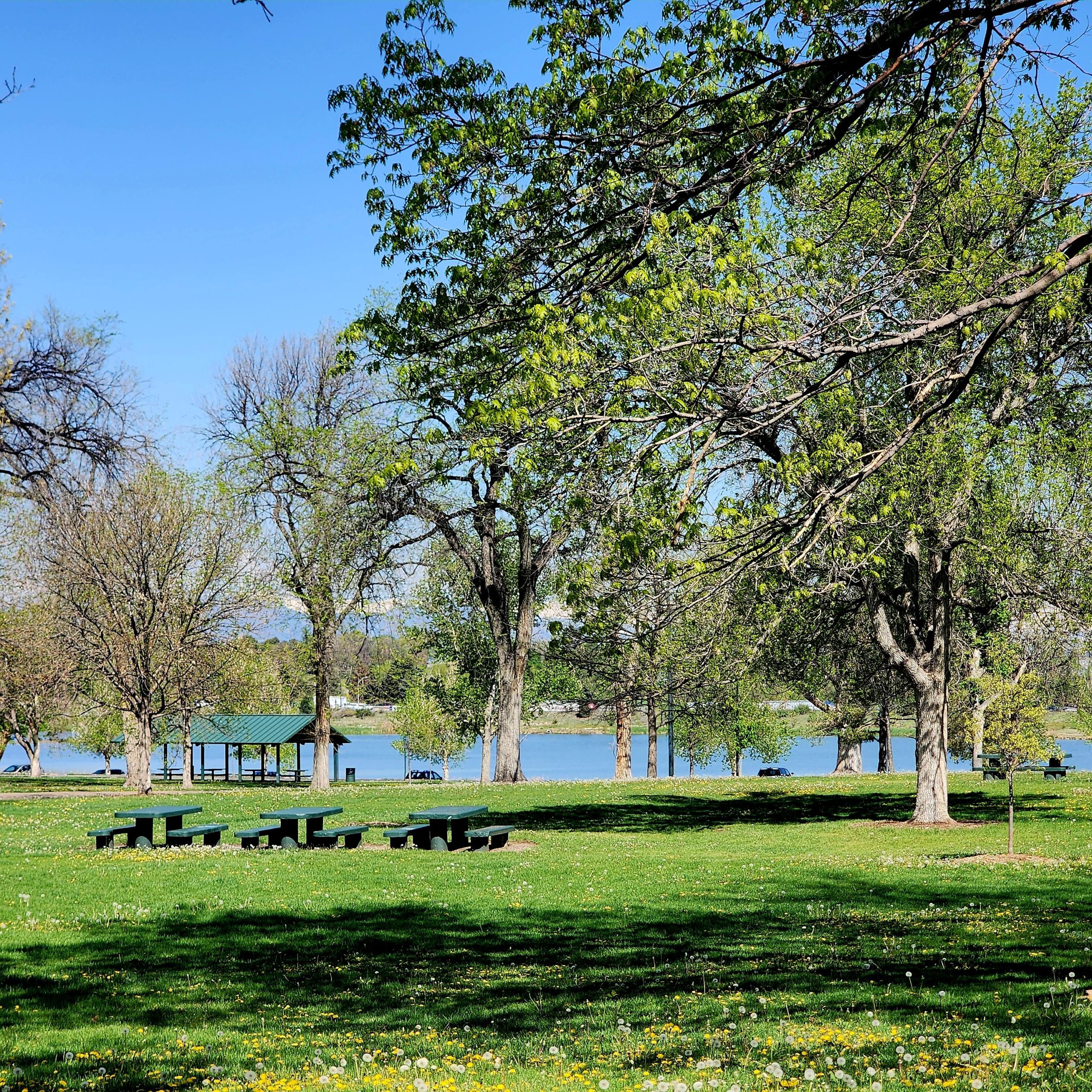 Berkeley Lake Park