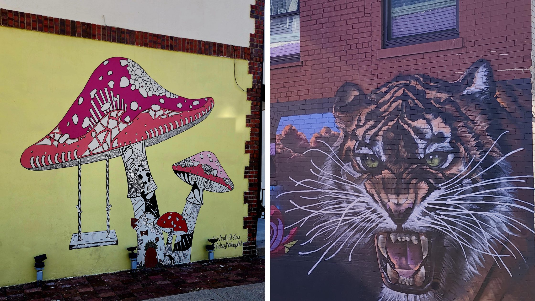 murals in the highlands LoHi homes and neighborhood 